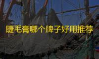 睫毛膏哪个牌子好用推荐 2023年睫毛膏品牌排行榜前十名